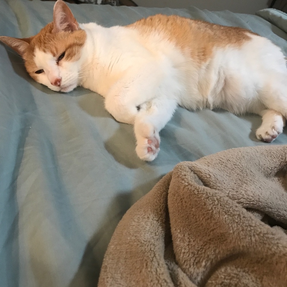 Meet your Posher, Kimberly